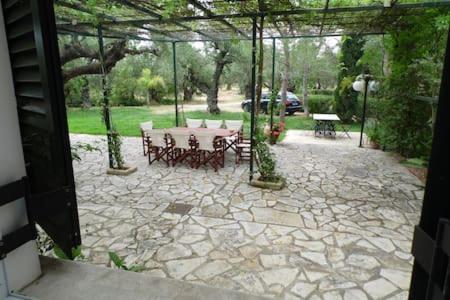 Theni Olive Grove Villa Kato Yerakarion Exterior foto